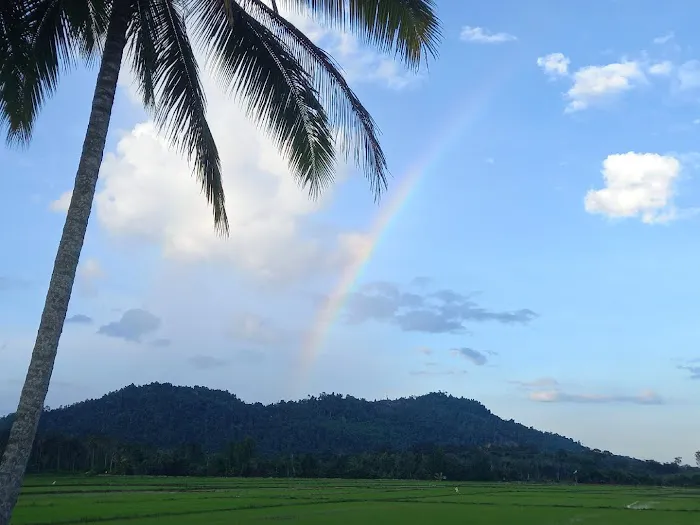 Kg Awek Darau Picture 7