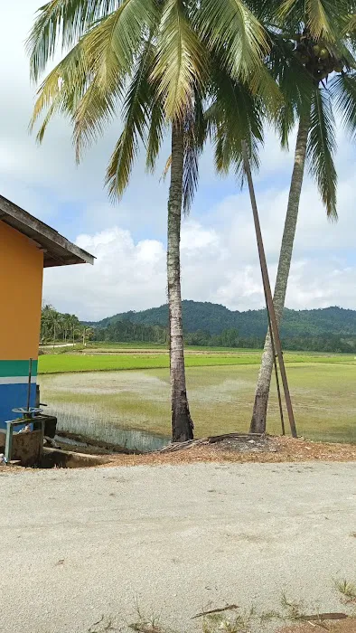 Kg Awek Darau Picture 9