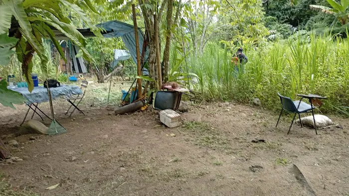 WILDCAMP TOK AM Picture 5