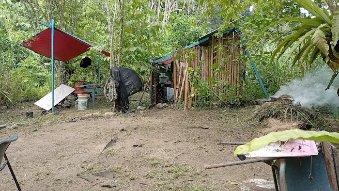 WILDCAMP TOK AM Picture 6