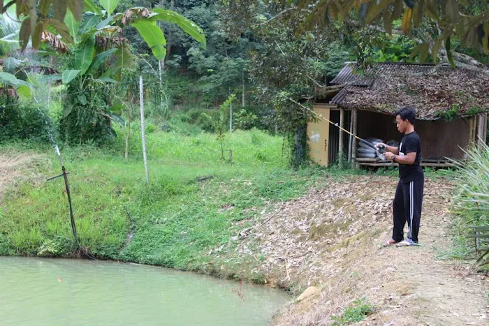 Janda Baik Nuang Homestay Picture 4