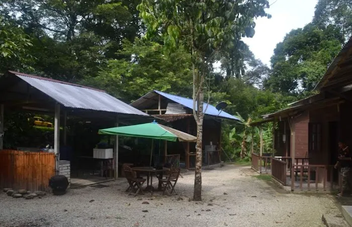 Abang Bob Chalet & Campsite Picture 3