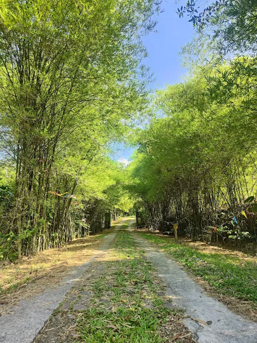 知竹圆 Darul Ta'lim Picture 7