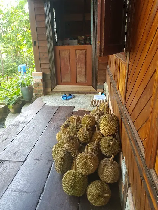 The Pundongs Picture 4