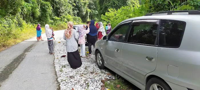 HOTEL BUDGET GUA MUSANG AR- RAUDHAH Picture 3