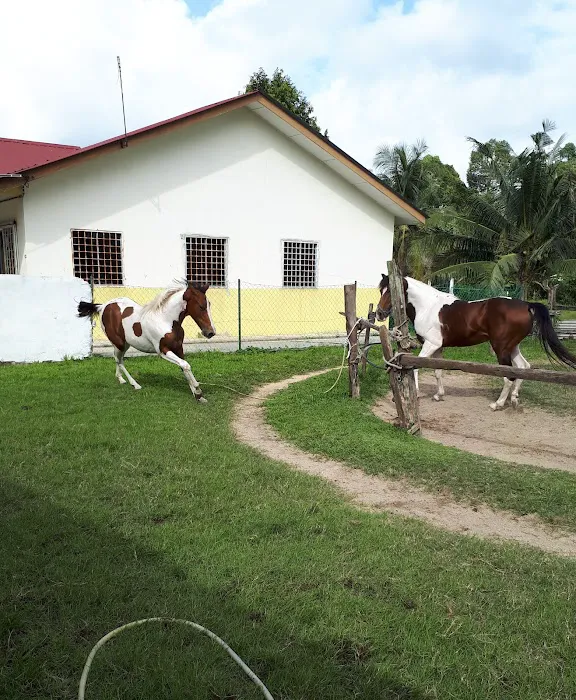 MN Qasehomestay Picture 3