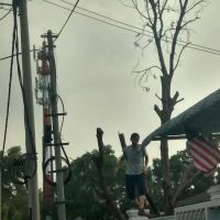 tmn lavender height ico