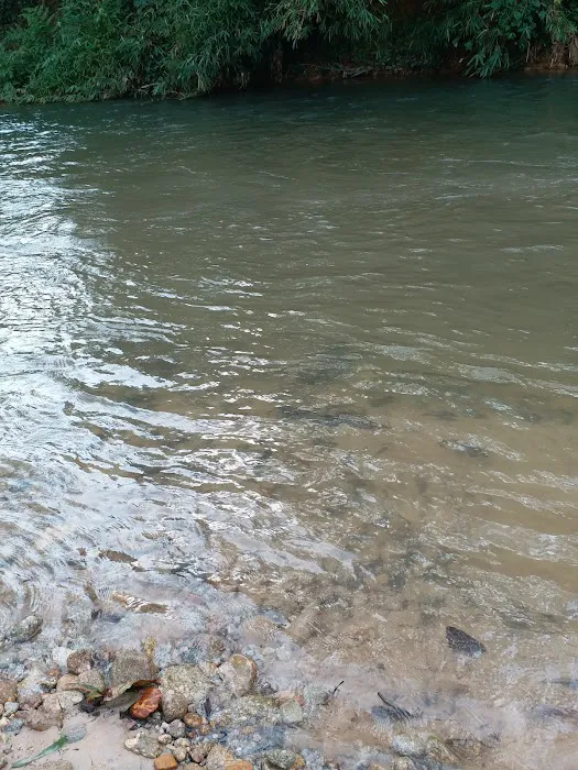 kem desa selesa tanjung malim Picture 8