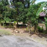 HOMESTAY BONDA D' SUNGAI