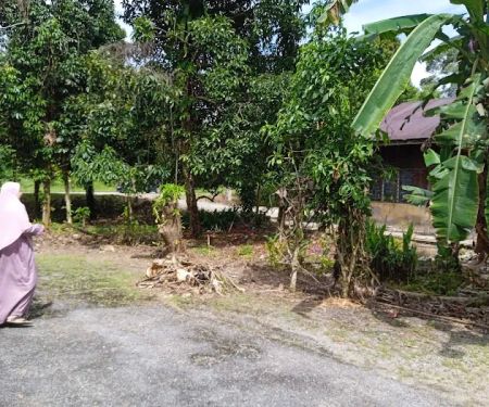 HOMESTAY BONDA D' SUNGAI