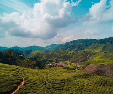 Scenic Mountain Trails in Cameron Highlands: Hiking Routes, Tips & Hidden Gems