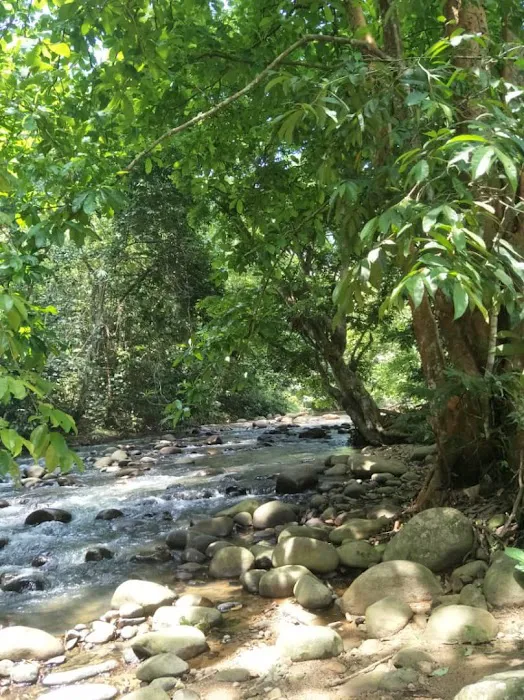 De Wangi Pandan Picture 4