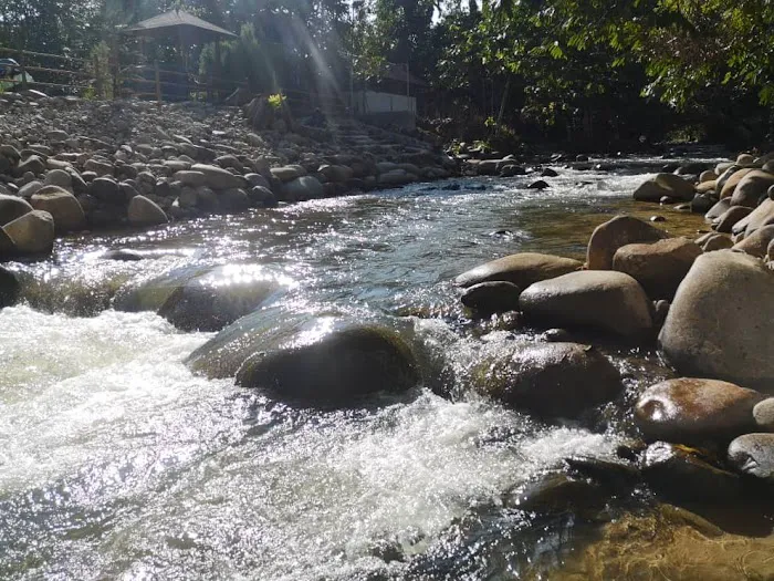 Laman Widyan @ Janda Baik Picture 6