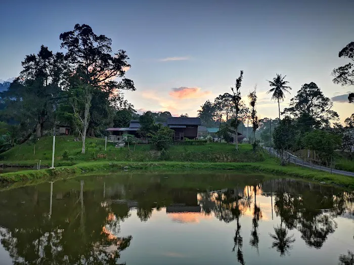 Rimbara Resort Picture 3