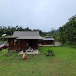 Rimbara Resort