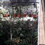 GardenHomestay Balok Perdana