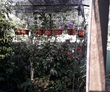 GardenHomestay Balok Perdana