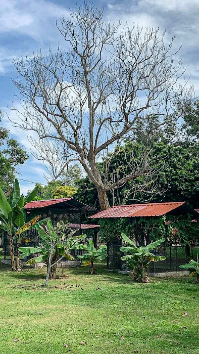 Aaira 8Pari Riverview Lodge Picture 6
