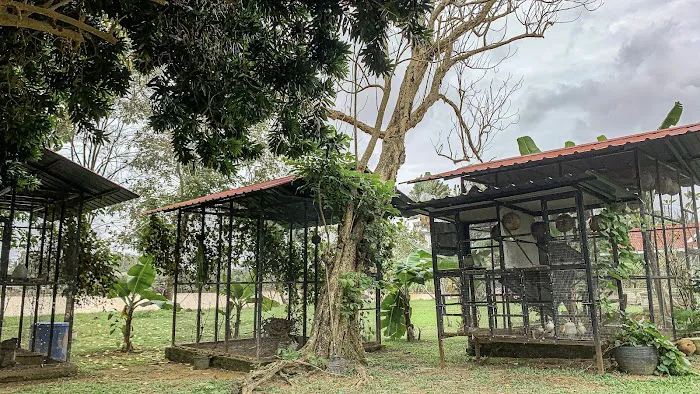 Aaira 8Pari Riverview Lodge Picture 4