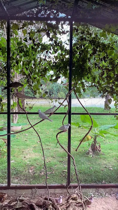 Aaira 8Pari Riverview Lodge Picture 9
