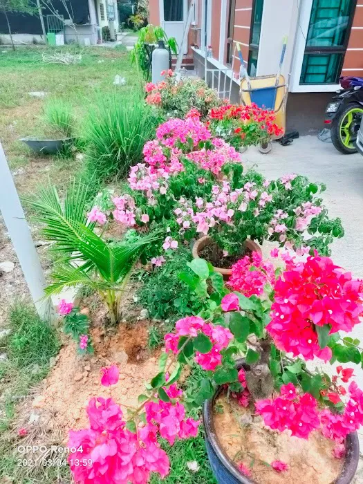 Home Picture 3