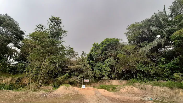 Jungle archery range Picture 3