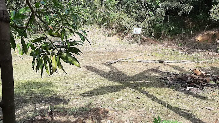 Jungle archery range Picture 6