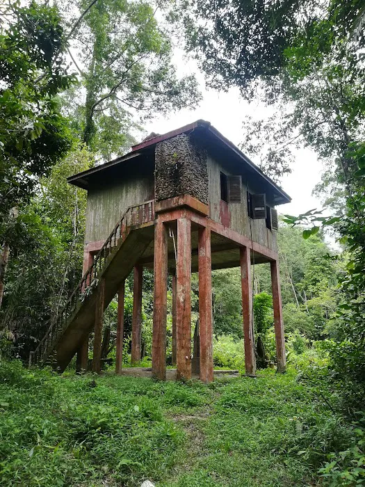 Bumbun Kumbang Picture 7