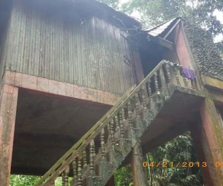 Bumbun Kumbang