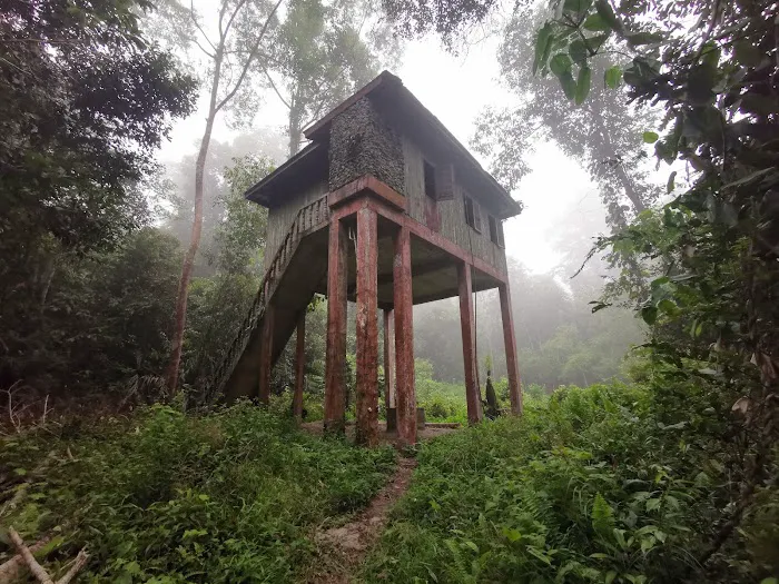 Bumbun Kumbang Picture 9