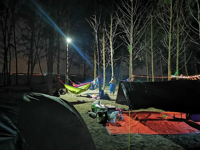 Rhu Island Campsite Picture 7