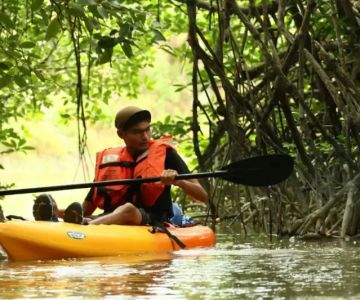 Adventure Kayaking Routes in Malaysian Mangroves: Top Spots and Tips